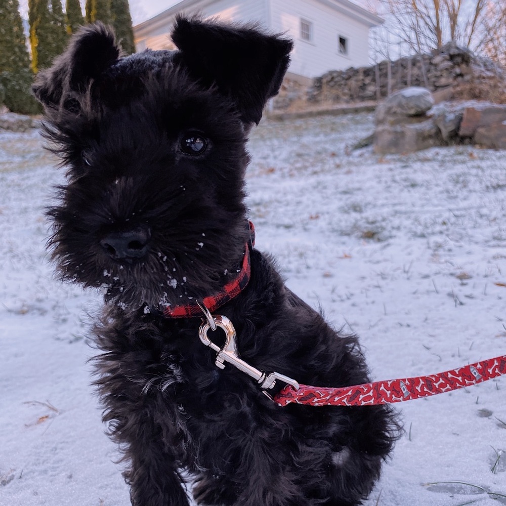 Meet your Posher, Chloe